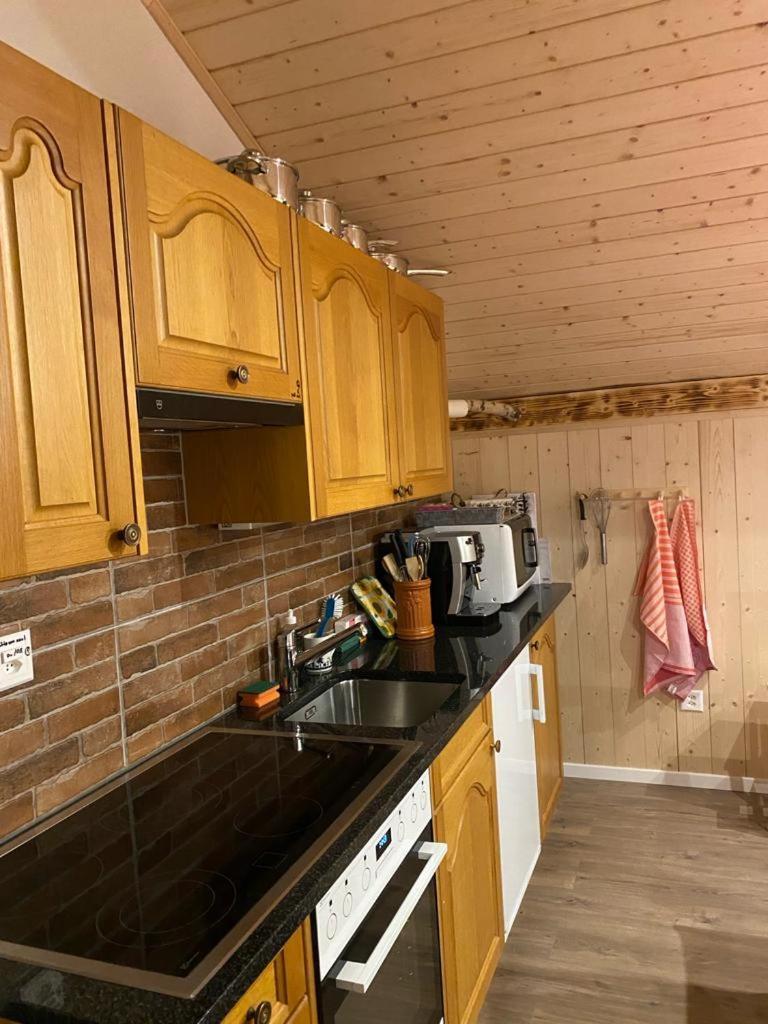 Chalet Baergstaeger Лаутербруннен Экстерьер фото
